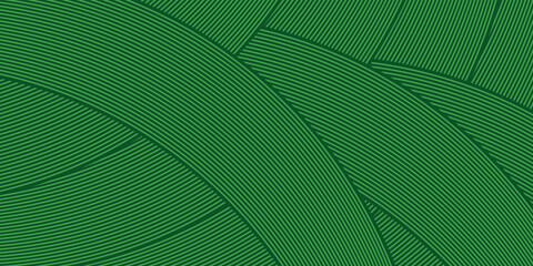 farm green banner, organic abstract background with fields. illustrstiom modern © SYAIFUL ANWAR