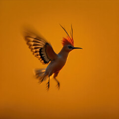 Obraz premium bird in flight