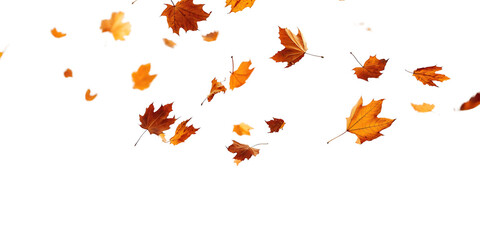 Autumn leaves gracefully falling on a dark background symbolizing seasonal change and beautiful nature