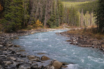 Sunwapta River, Jasper National Park, Alberta