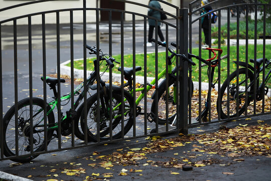 Urban Autumn Scene with Bicycles Locked Behind Metal Fence on Rainy Day