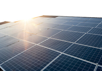 Solar Panels Glistening with Rain on transparent background