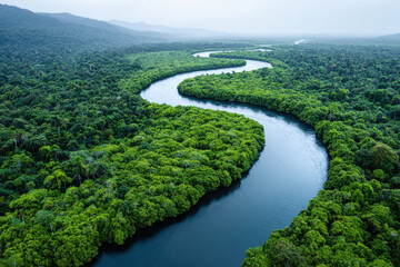 Fototapeta premium River winding through a lush tropical rainforest
