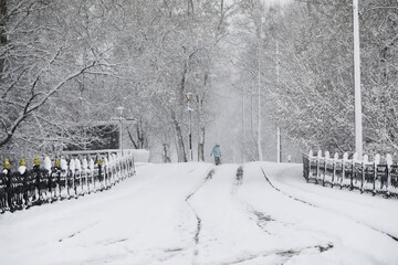 Solitary Walk on Snowy Pathway: Serene Winter Landscape with Frosted Trees