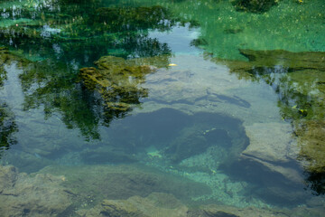 Transparent green and blue stream the tree roots and rocks under the water. Thapom Klong Song Nam in Krabi, Thailand