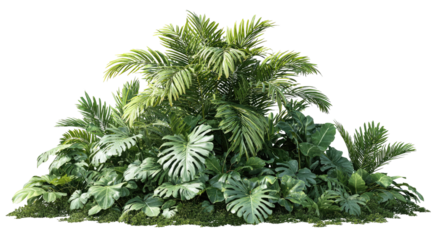 Lush tropical plant cluster (2)