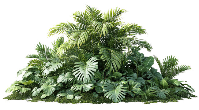 Lush tropical plant cluster (2)