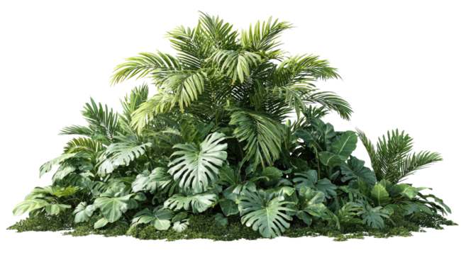 Lush tropical plant cluster (2)
