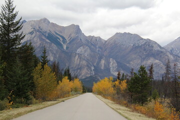road to the mountains, Jasper National Park, Alberta