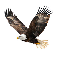 Eagle Bird Flying full body view isolated on white or transparent background