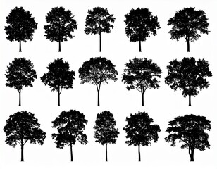 Fototapeta premium Set of trees silhouette isolated on white background 
