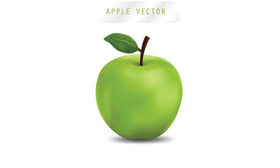 Set of Two Realistic Green Apples Vector Illustration with Leaf and Shadow on White Background

