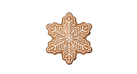 A beautifully decorated snowflake shaped cookie with intricate white icing details suggesting winter holidays.