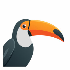Naklejka premium Colorful toucan bird portrait isolated on white background vector illustration