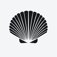 Elegant black and white scallop shell illustration on white background
