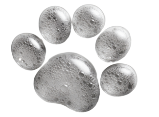 Dog paw print filled with suds