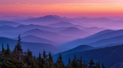 Obraz premium Majestic layered mountain ranges fading into the distance under a vibrant purple and pink sunset sky, framed by evergreen trees in the foreground at twilight