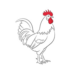 Vector art of outline drawing of a proud rooster with a red comb and wattle, standing tall