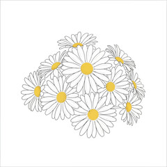 Vector art of a cluster of daisy flowers with yellow centers and white petals, depicted in a simple line art style, isolated on a