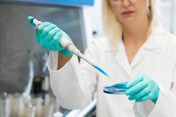 Close up view of female scientist hands using a pipette for biochemical analysis in a laboratory. Researcher preparing agar media in a petri dish for microbiological or chemical testing. 