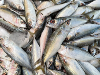 Fresh fish in the markets of Thailand. Fresh seafood variety fish sell in traditional asian market Thailand. fresh fish Food at market street. 