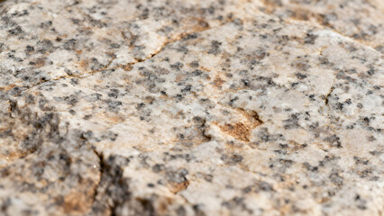 Close-up of a granite rock surface with speckled patterns and natural textures