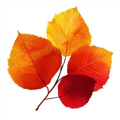 Stylized fall leaves with visible textures and veins, orange, yellow, red gradient tones, isolated on white, fun vector illustration.
