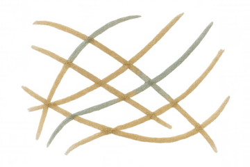 Intersecting starfish creating abstract pattern on transparent background, marine life texture