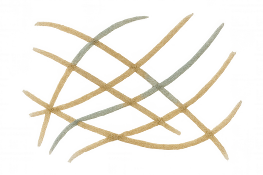 Intersecting starfish creating abstract pattern on transparent background, marine life texture