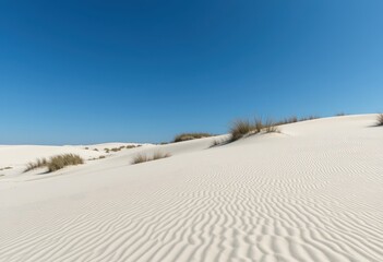 illustration - Sand Dunes Under Blue Sky with Sparse Green Desert Shrubbery