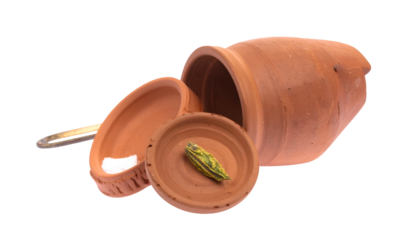 Earthenware pot with lid, containing small green striped object