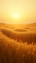 Wind Moving Through Wheat Field