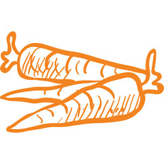 Two Orange Carrots with Green Tops Hand Drawn Sketch Style Isolated on Transparent Background