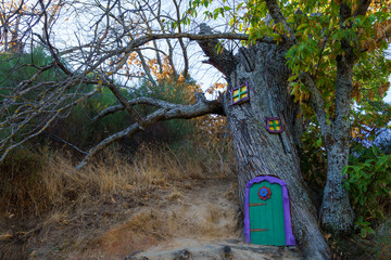 Whimsical door and windows creating a magical fairy house in an ancient tree trunk in parauta,malaga,spain