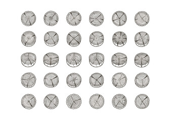 Wood slice vector set. Tree ring log cross section. Timber stump collection. Lumber trunk circle icon. Firewood cut. Natural forest material. Organic wooden texture background.