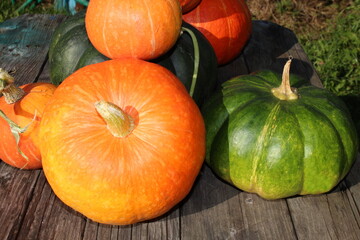 very beautiful orange pumpkin on an autumn background