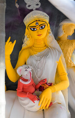 Picture of divine grace goddess Druga 