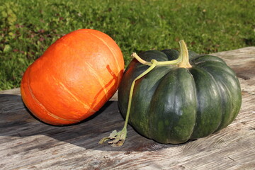 very beautiful orange pumpkin on an autumn background
