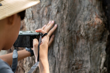 An over-the-shoulder view of a young photographer capturing the rough texture of a tree trunk with a digital camera in the forest.