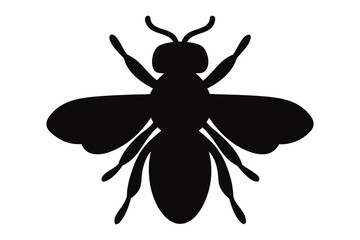 Bee silhouette vector, Bee icon, insect vector silhouette