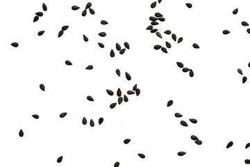Black sesame seeds isolated on white background