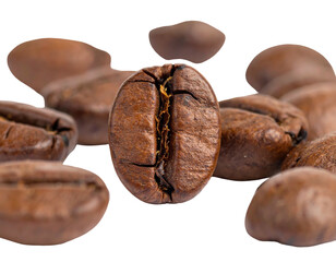 Close-up of roasted coffee beans, one prominently featured