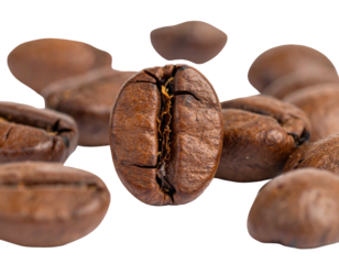 Close-up of roasted coffee beans, one prominently featured