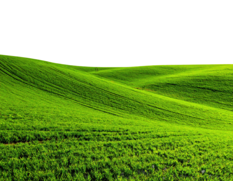 Undulating emerald green hills meet a dark, starless sky