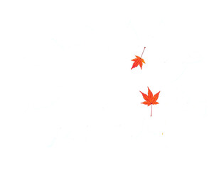White explosion shape with two falling autumn leaves