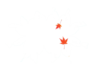 White explosion shape with two falling autumn leaves