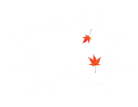 White explosion shape with two falling autumn leaves