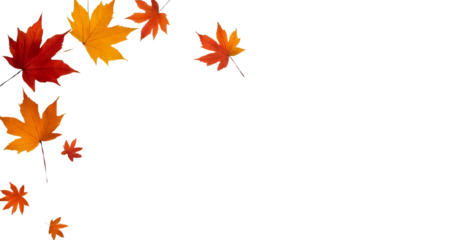 Autumn leaves in vibrant hues gracefully falling a reminder of nature s on transparent background