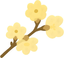 겨울납매꽃가지_따뜻한감성일러스트