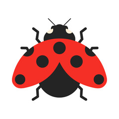 Flat Vector Illustration of a Ladybug
